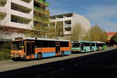 BUS942 - Tuggeranong Bus Station (with BUS967 and BUS401)
