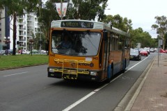 Bus-945-Northbourne-Avenue