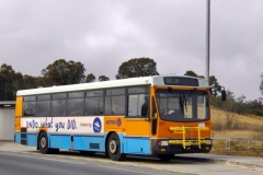Bus-951-Aikman-Drive