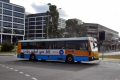 Bus-951-Cameron-Avenue