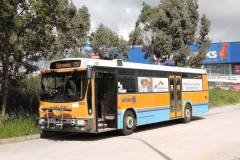 Bus952-CSBS-1