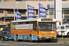 BUS 954 - COHEN ST