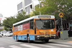 Bus-955-Hibberson-Street