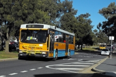 Bus-955-Josephson-Street