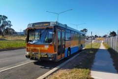 Bus 956 - Kate Crace St