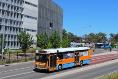 Bus-962-Cohen-Street