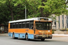 Bus-962-National-Circuit