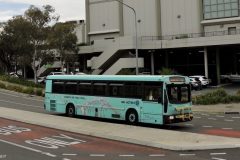 Bus-963-Cohen-Street