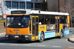Bus-965-Hospital-Road
