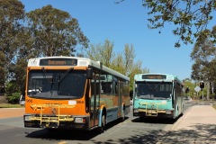 Bus-966-Cowper-Street-with-Bus-967-