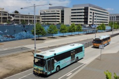 Bus-967-Belconnen-Community-Bus-Station-with-Bus-943-