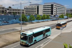 Bus-967-Belconnen-Community-Bus-Station-with-Bus-943-
