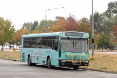 Bus-967-Bowes-St-Layover