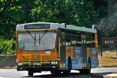 Bus968-1