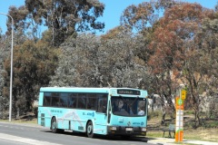 Bus-971-College-Street