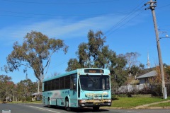 BUS971 - Miller Street