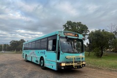 Bus 971 - Tharwa Dr