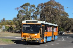 Bus-972-Langdon-Avenue