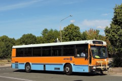 Bus-976-Bowes-Street