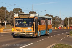 Bus-977-Flemington-Road