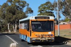 Bus-977-Longmore-Crescent