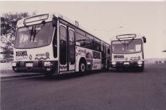 Buses-977-and-979