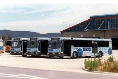Buses-977-978-and-979-Tuggeranong-Depot