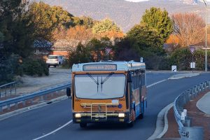 BUS 980