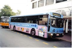 Bus-981-City-Interchange
