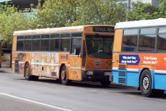 Bus 982 - Bradley St