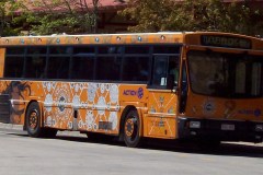 Bus-982-Tuggeranong-Interchange