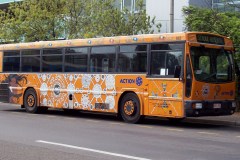 Bus-982-Woden-Interchange-5