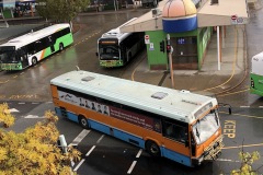 Bus 982 - Bradley Street