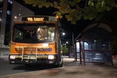 Bus 982 - City West