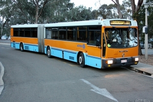 BUS 984