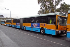 Bus-984-Canberra-Stadium