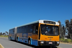 Bus-984-Horse-Park-Dr