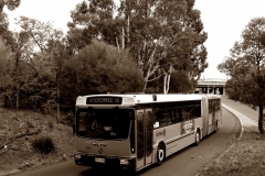 1_Bus-985-Belconnen-Interchange