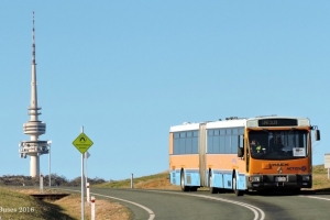 BUS 986