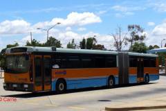 1_Bus986-Woden-1