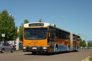 BUS 987