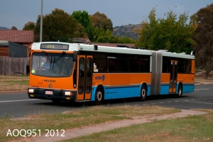 BUS 989