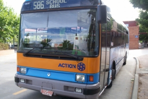 BUS 990