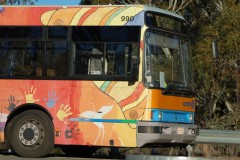 Bus-990