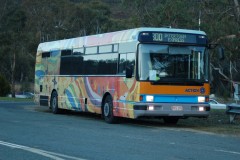 Bus-990