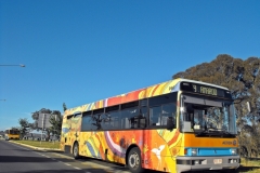 Bus-990-Kate-Crace-Street