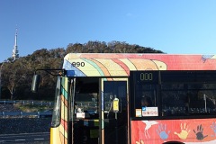 Bus-990-Lady-Denman-Drive-2