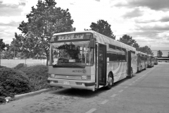 Bus-990-Tuggeranong-Interchange-4