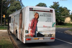 Bus-991-Ogilby Cr