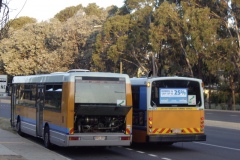 Bus-991-Barry-Drive-2